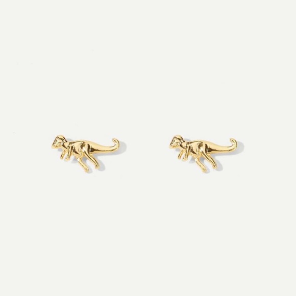 dinousaurs Other - Tyrannosaurus Rex Dinosaur Earrings